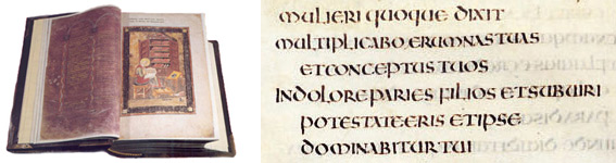 Bibbia Amiatina