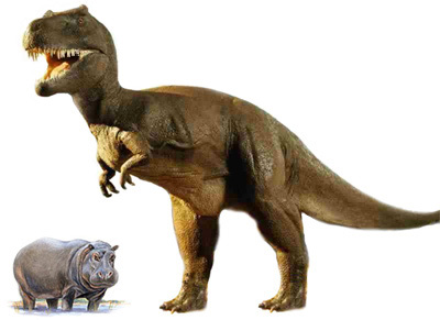 Dinosauri e ippopotami nella Bibbia