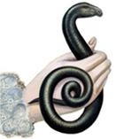 La donna serpente
