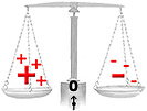 Equilibrio della conservazione