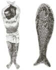  Il simbolo nascosto nel pesce catacombale 